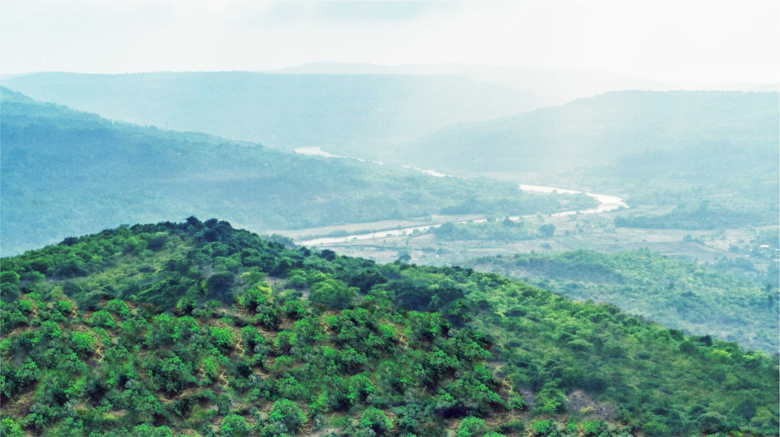 Dapoli Coastline